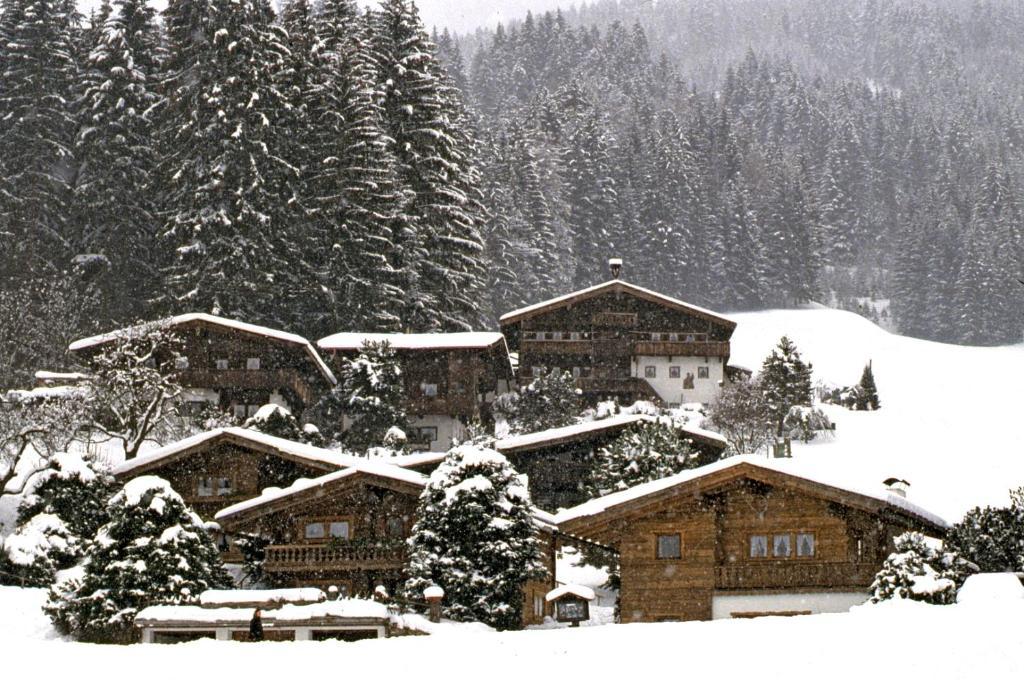 Ferienhaeuser Reither Almen Reith im Alpbachtal Chambre photo
