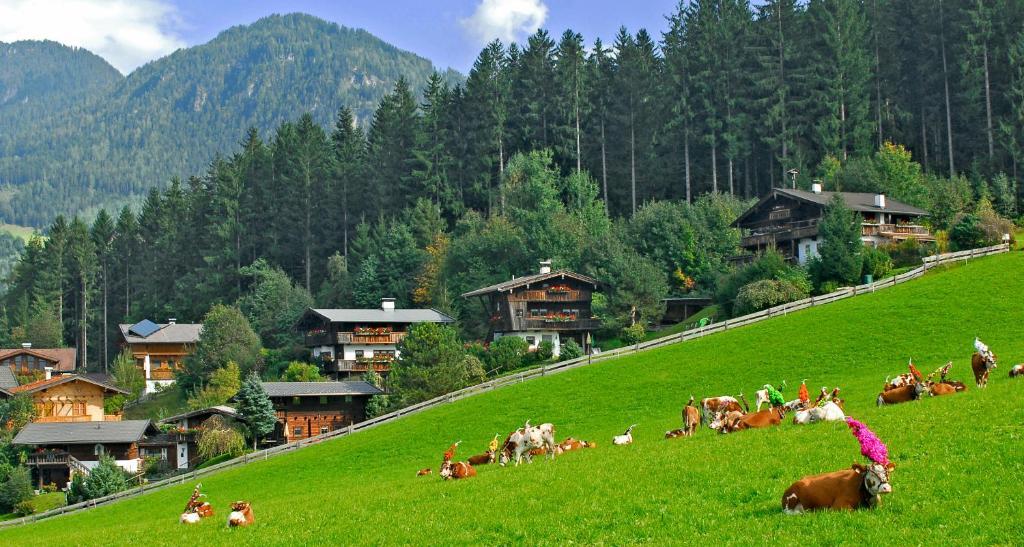 Ferienhaeuser Reither Almen Reith im Alpbachtal Chambre photo